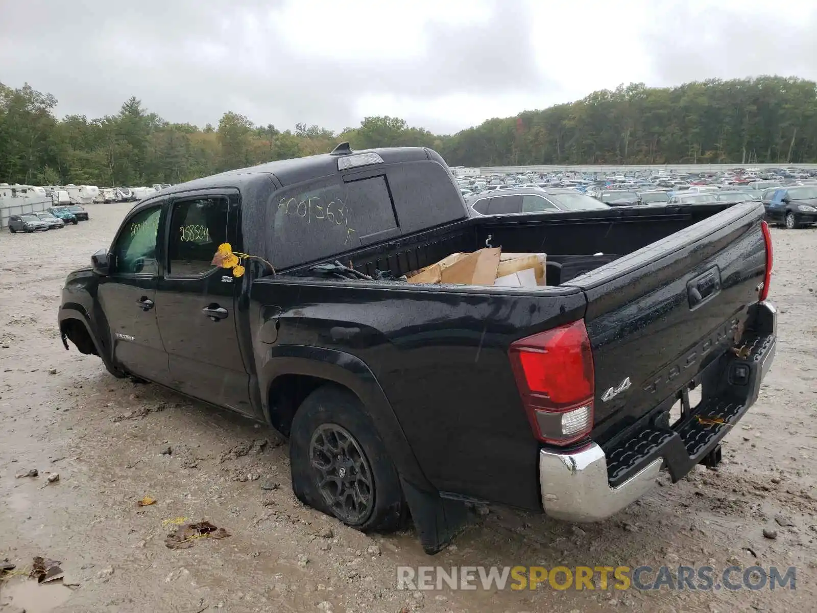 3 Photograph of a damaged car 3TMCZ5AN6KM222746 TOYOTA TACOMA 2019