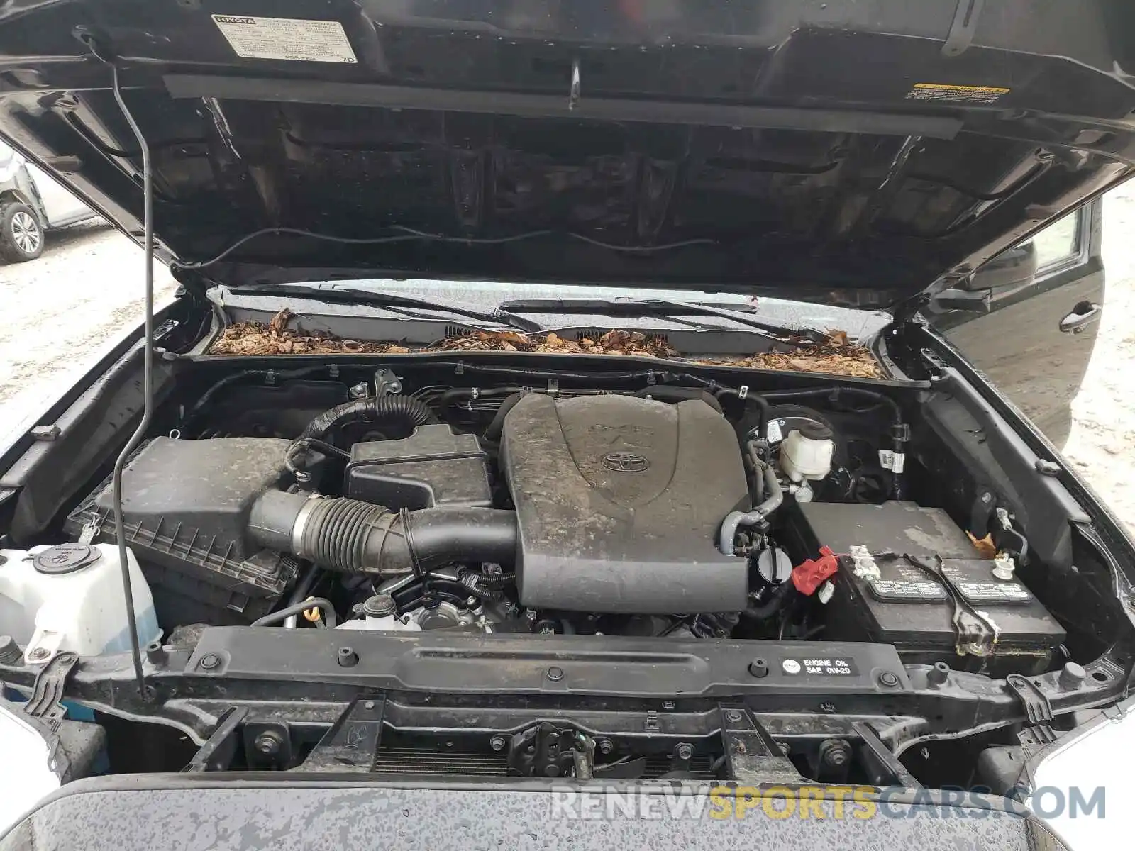 7 Photograph of a damaged car 3TMCZ5AN6KM222746 TOYOTA TACOMA 2019