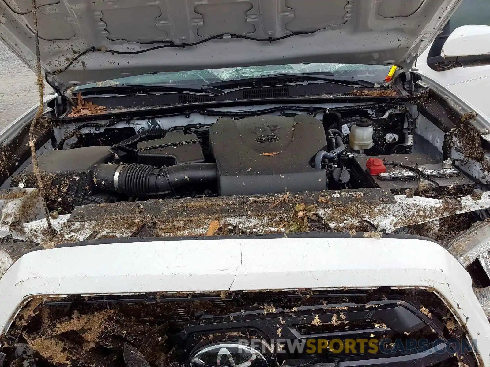 7 Photograph of a damaged car 3TMCZ5AN6KM230751 TOYOTA TACOMA 2019