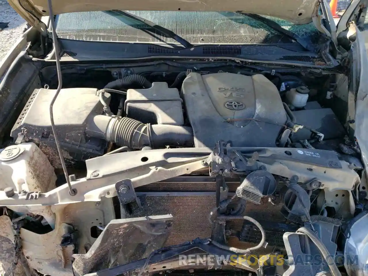 7 Photograph of a damaged car 3TMCZ5AN6KM238414 TOYOTA TACOMA 2019