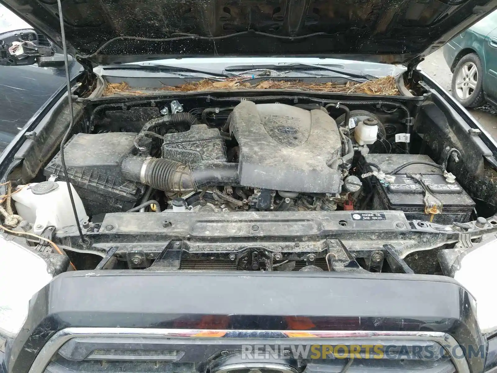 7 Photograph of a damaged car 3TMCZ5AN6KM251051 TOYOTA TACOMA 2019