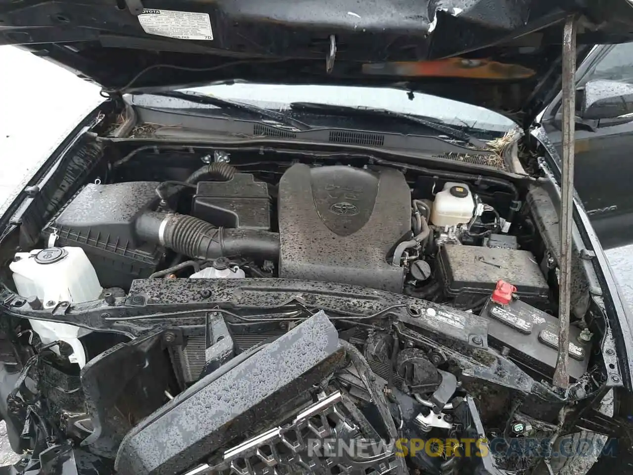 7 Photograph of a damaged car 3TMCZ5AN6KM263054 TOYOTA TACOMA 2019