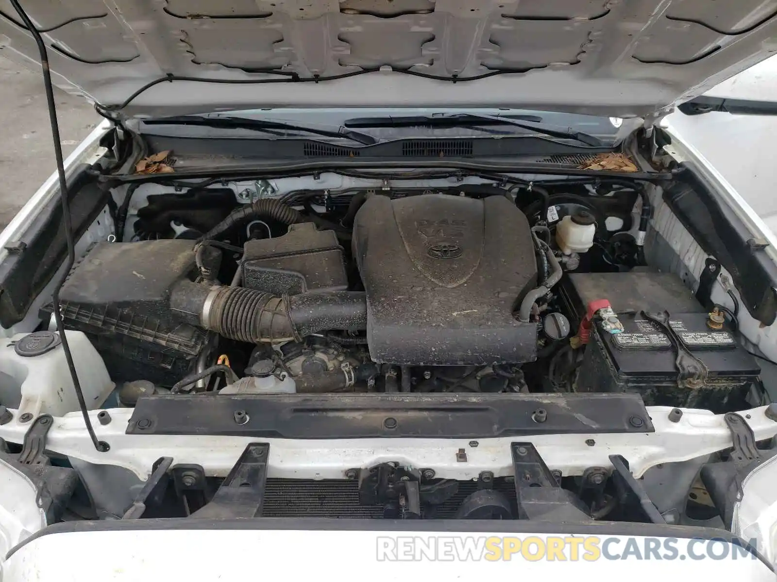 7 Photograph of a damaged car 3TMCZ5AN6KM284972 TOYOTA TACOMA 2019