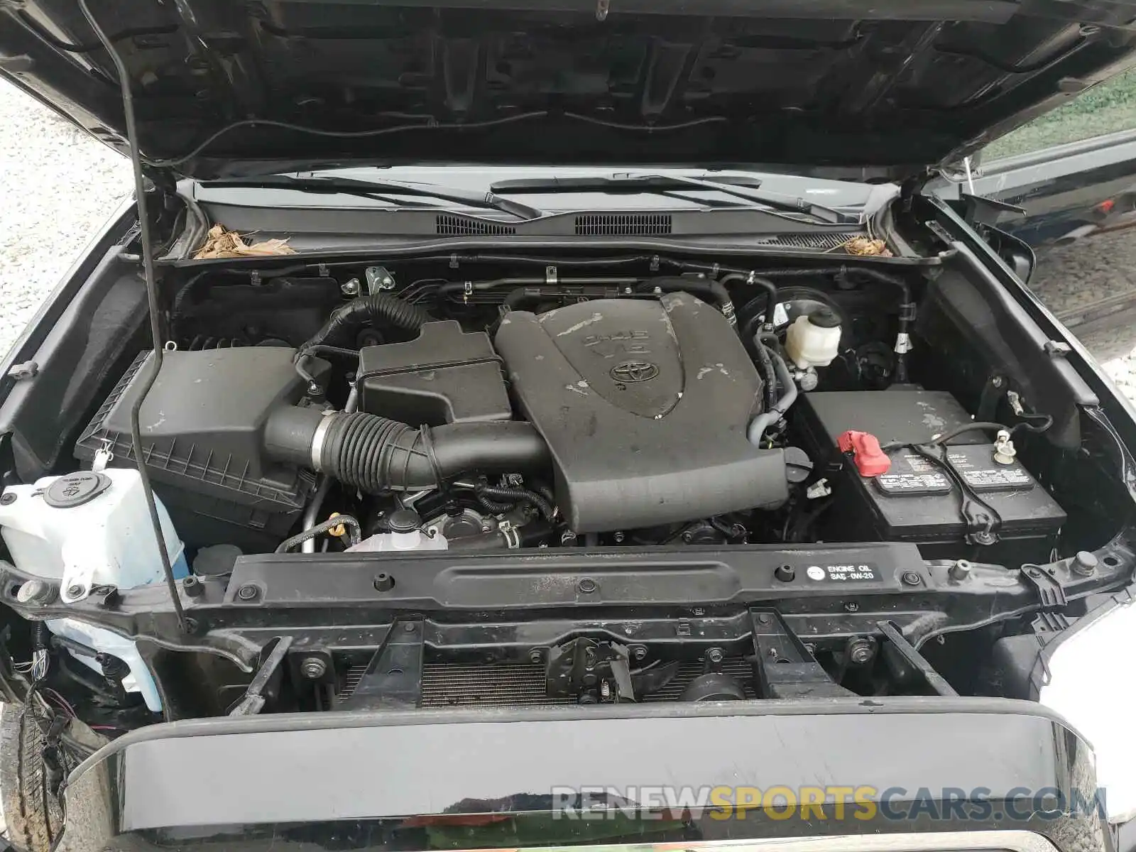 7 Photograph of a damaged car 3TMCZ5AN7KM199557 TOYOTA TACOMA 2019