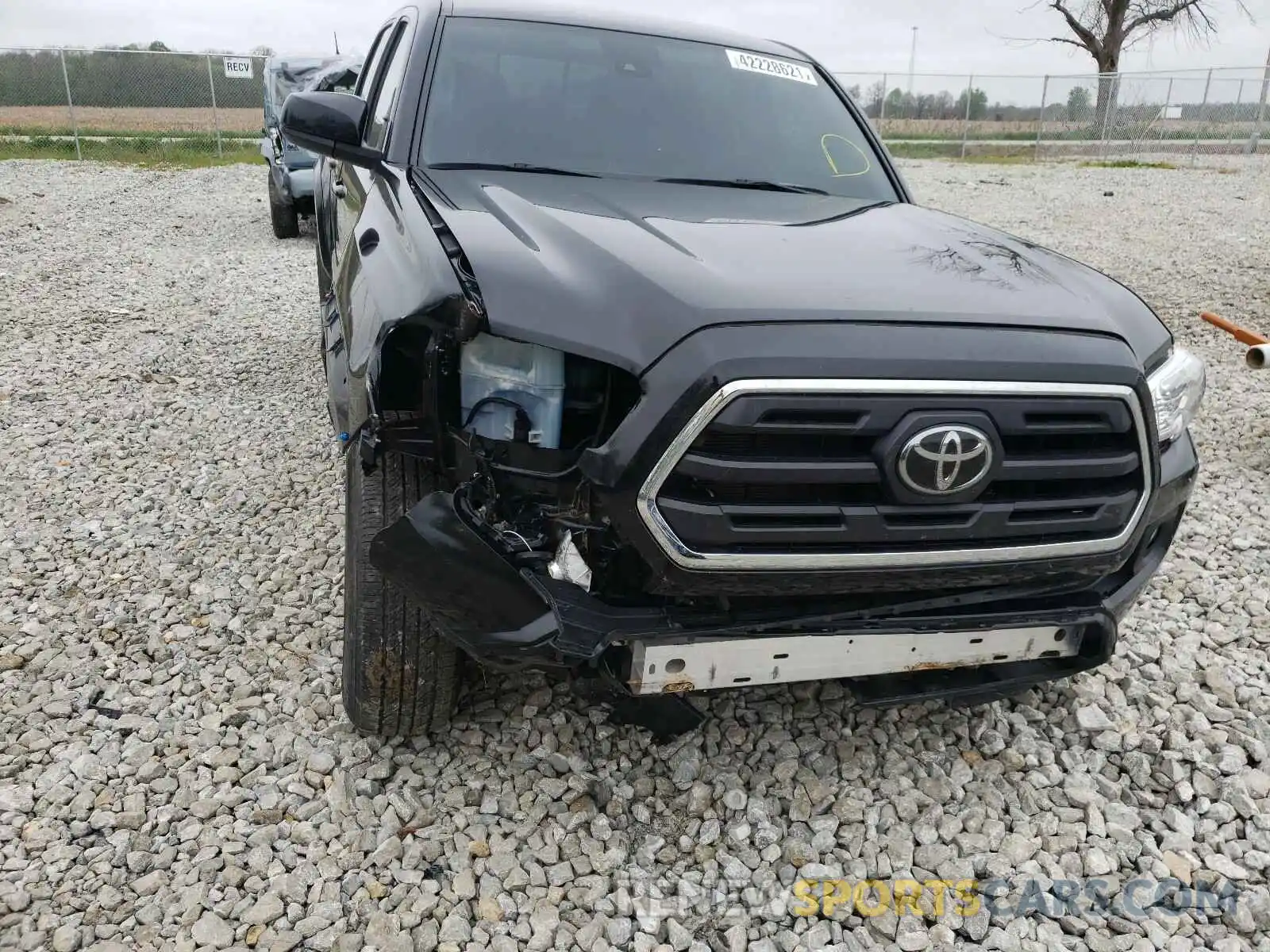 9 Photograph of a damaged car 3TMCZ5AN7KM199557 TOYOTA TACOMA 2019