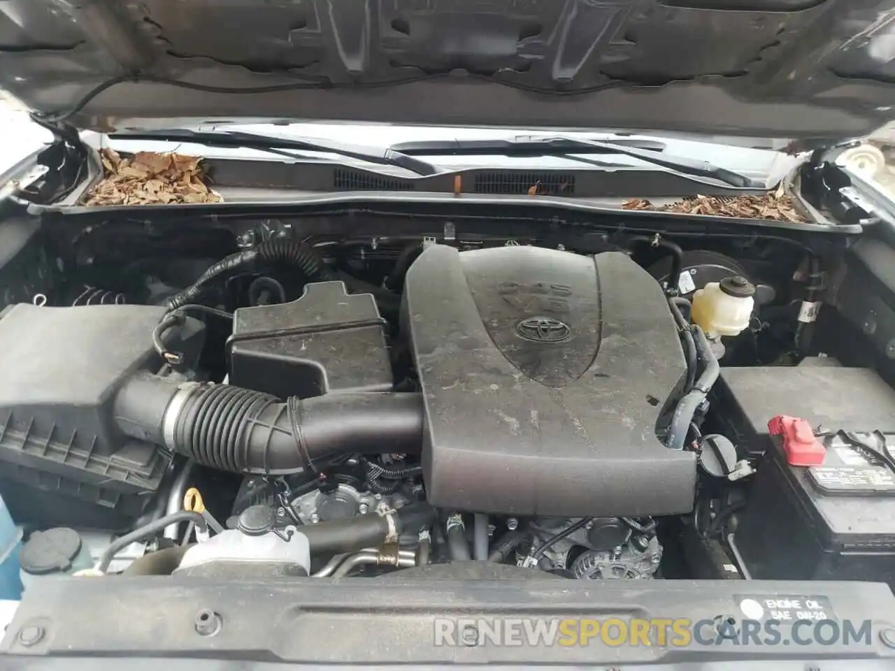 7 Photograph of a damaged car 3TMCZ5AN7KM217023 TOYOTA TACOMA 2019