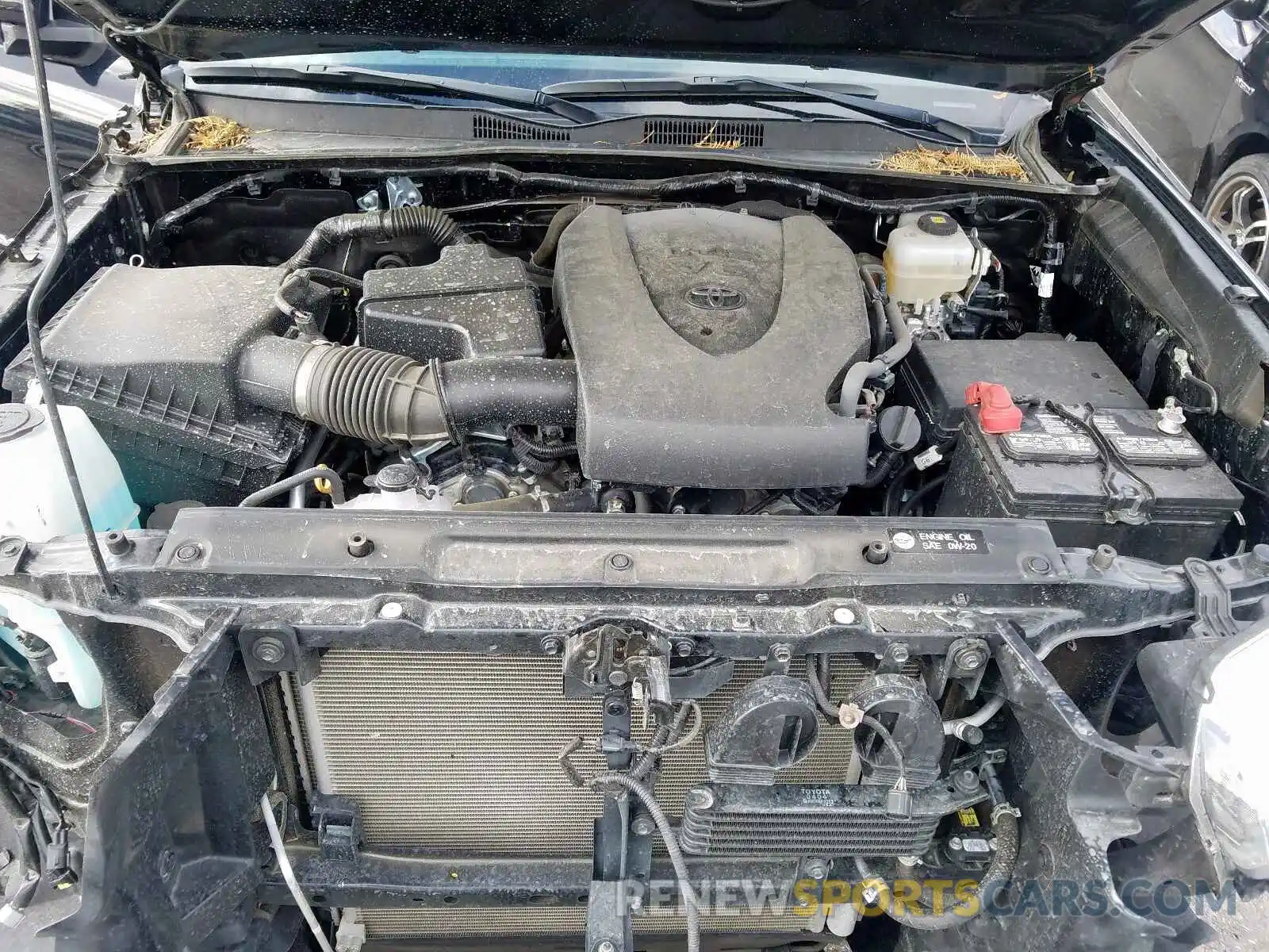 7 Photograph of a damaged car 3TMCZ5AN7KM224215 TOYOTA TACOMA 2019