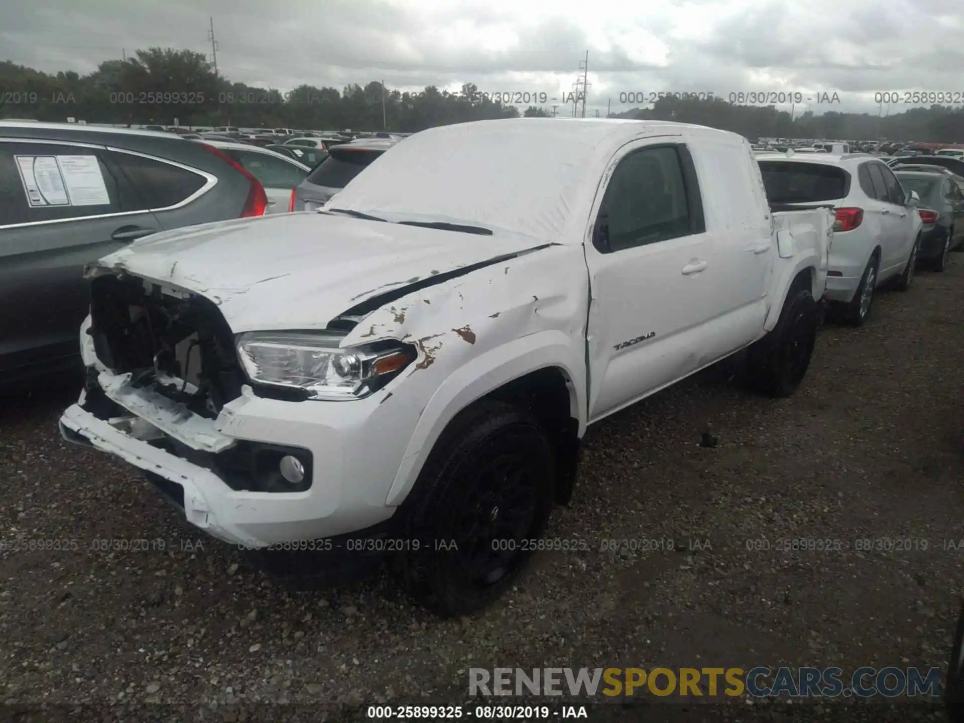 2 Photograph of a damaged car 3TMCZ5AN7KM226479 TOYOTA TACOMA 2019