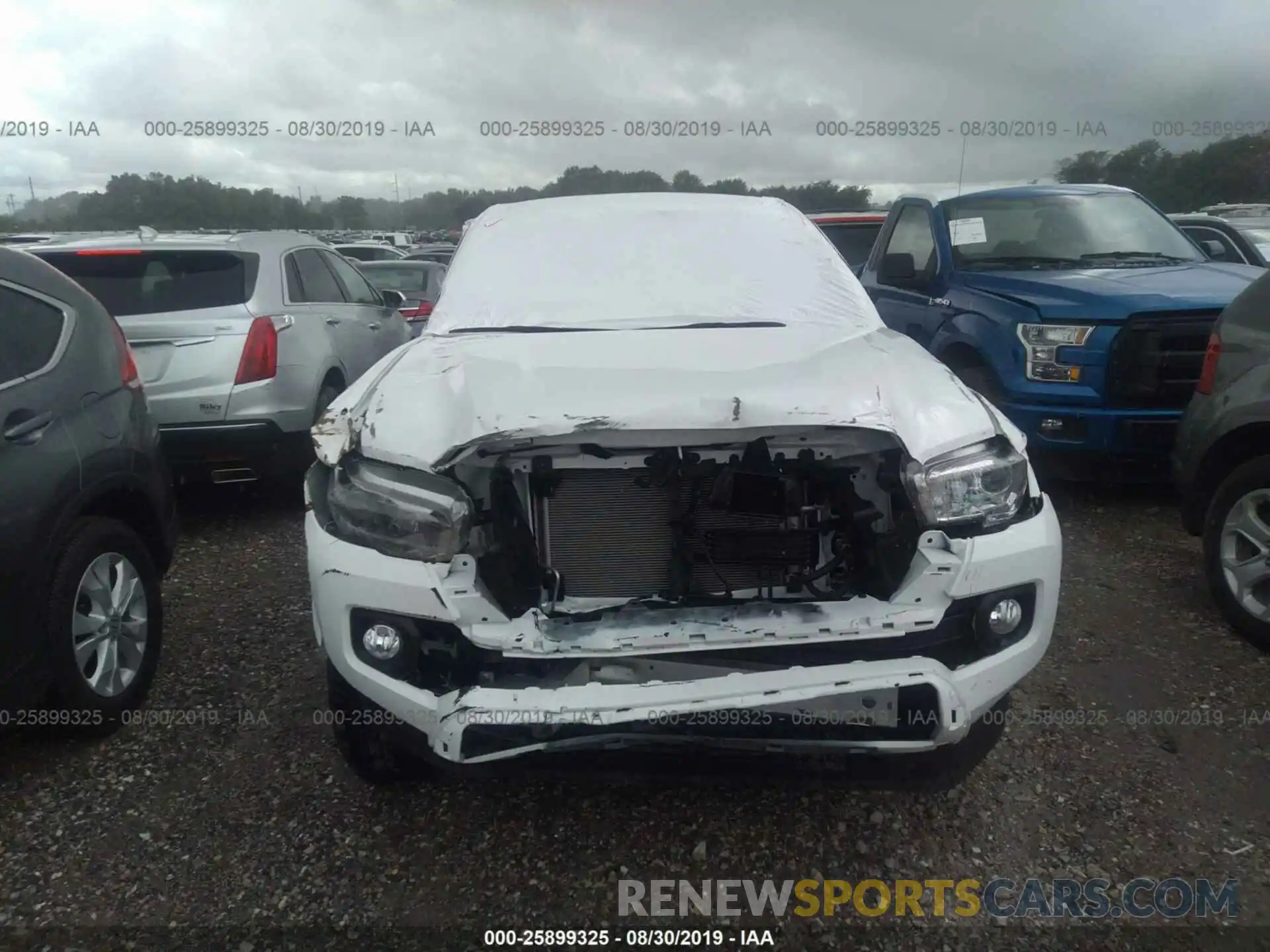 6 Photograph of a damaged car 3TMCZ5AN7KM226479 TOYOTA TACOMA 2019