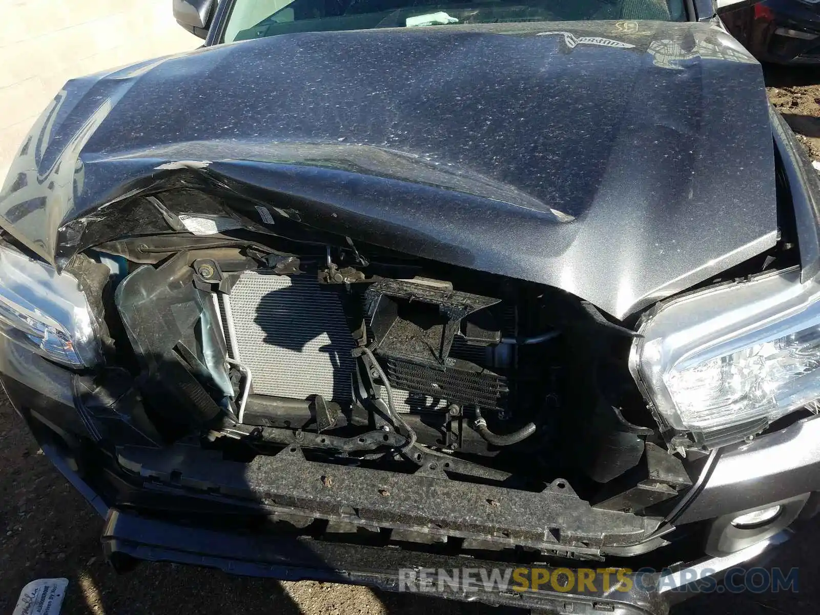 7 Photograph of a damaged car 3TMCZ5AN7KM241144 TOYOTA TACOMA 2019