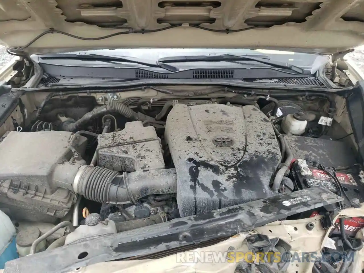 7 Photograph of a damaged car 3TMCZ5AN7KM252631 TOYOTA TACOMA 2019