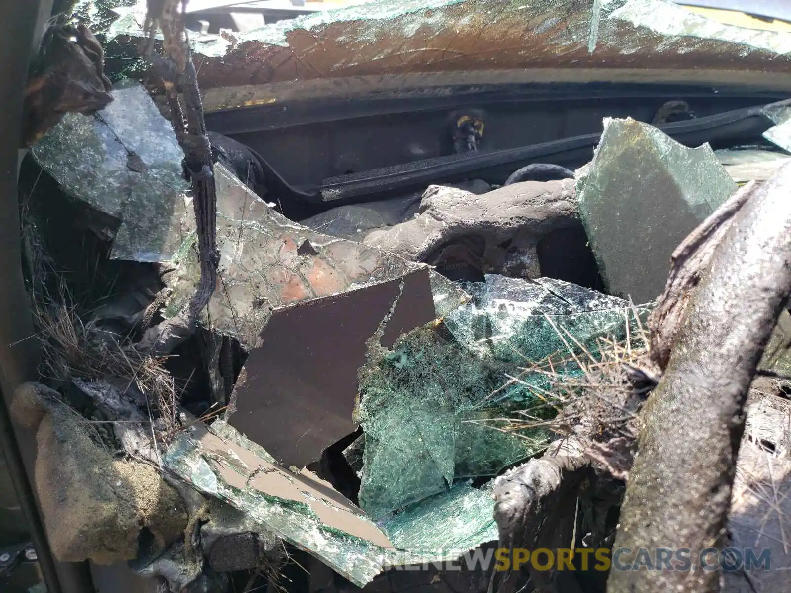 6 Photograph of a damaged car 3TMCZ5AN7KM257120 TOYOTA TACOMA 2019