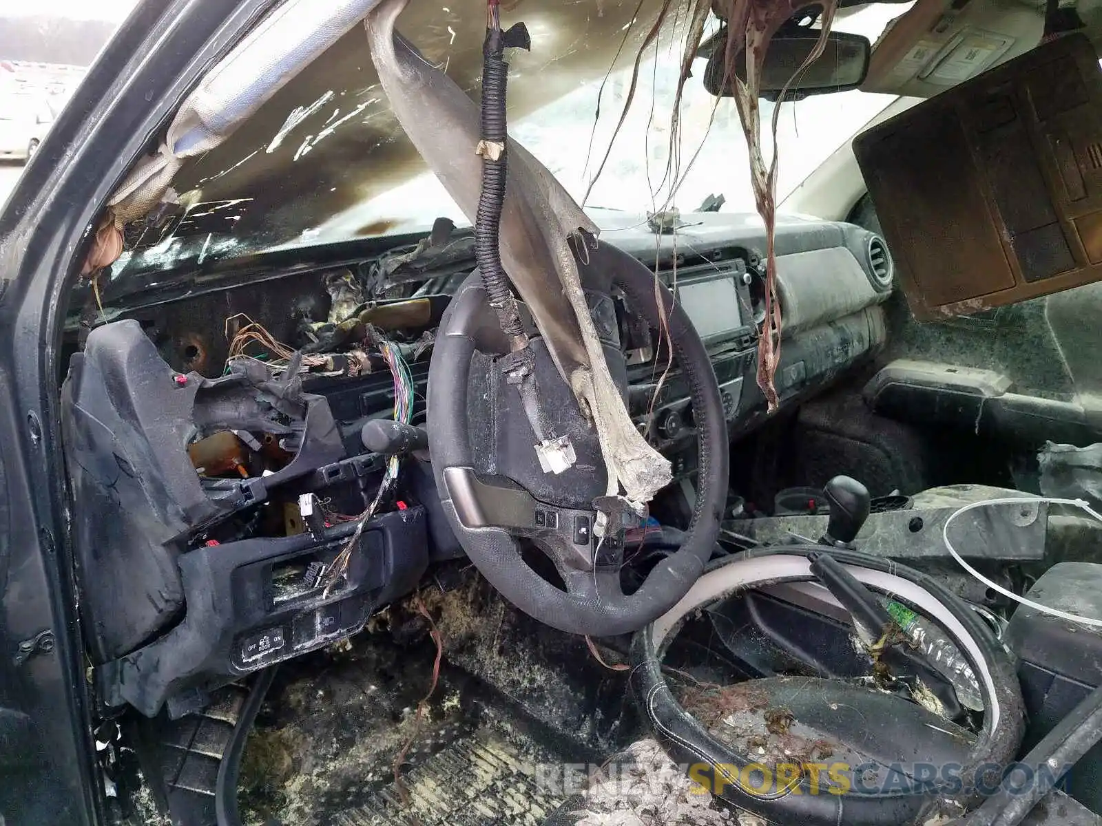 9 Photograph of a damaged car 3TMCZ5AN7KM258283 TOYOTA TACOMA 2019