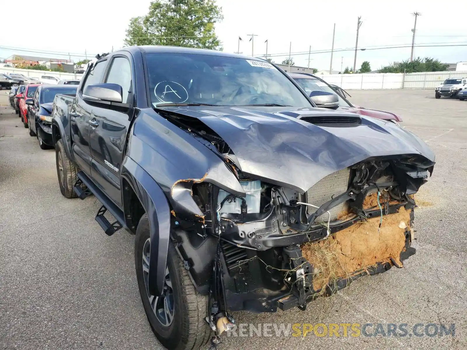 1 Photograph of a damaged car 3TMCZ5AN7KM279926 TOYOTA TACOMA 2019