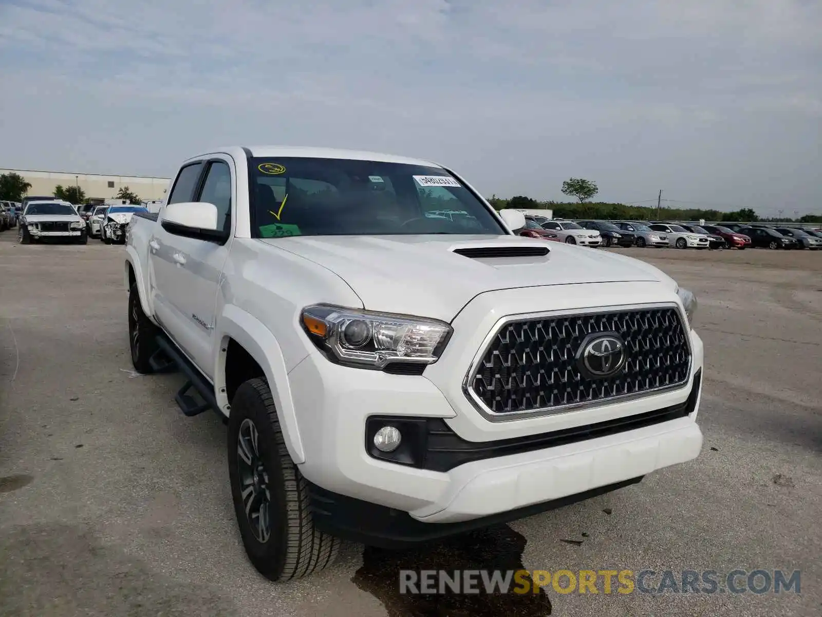 1 Photograph of a damaged car 3TMCZ5AN8KM205771 TOYOTA TACOMA 2019