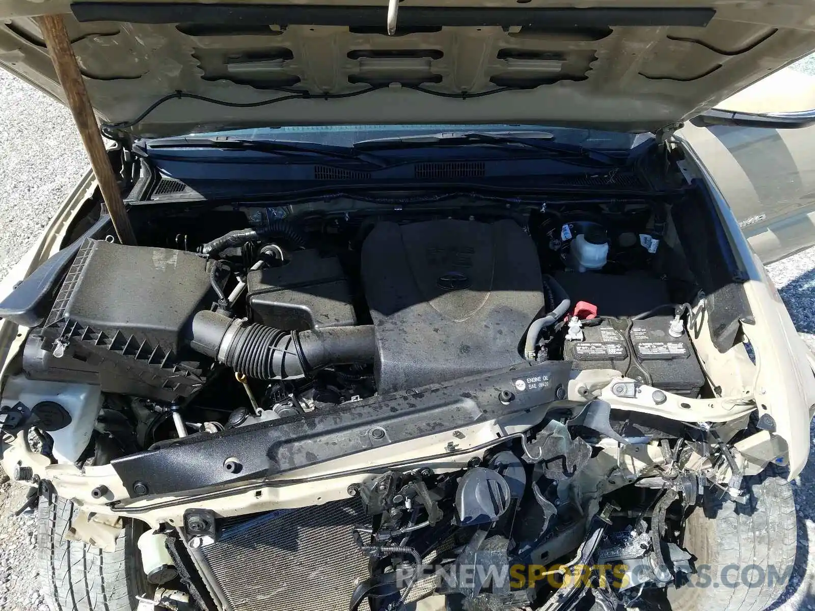 5 Photograph of a damaged car 3TMCZ5AN8KM225339 TOYOTA TACOMA 2019