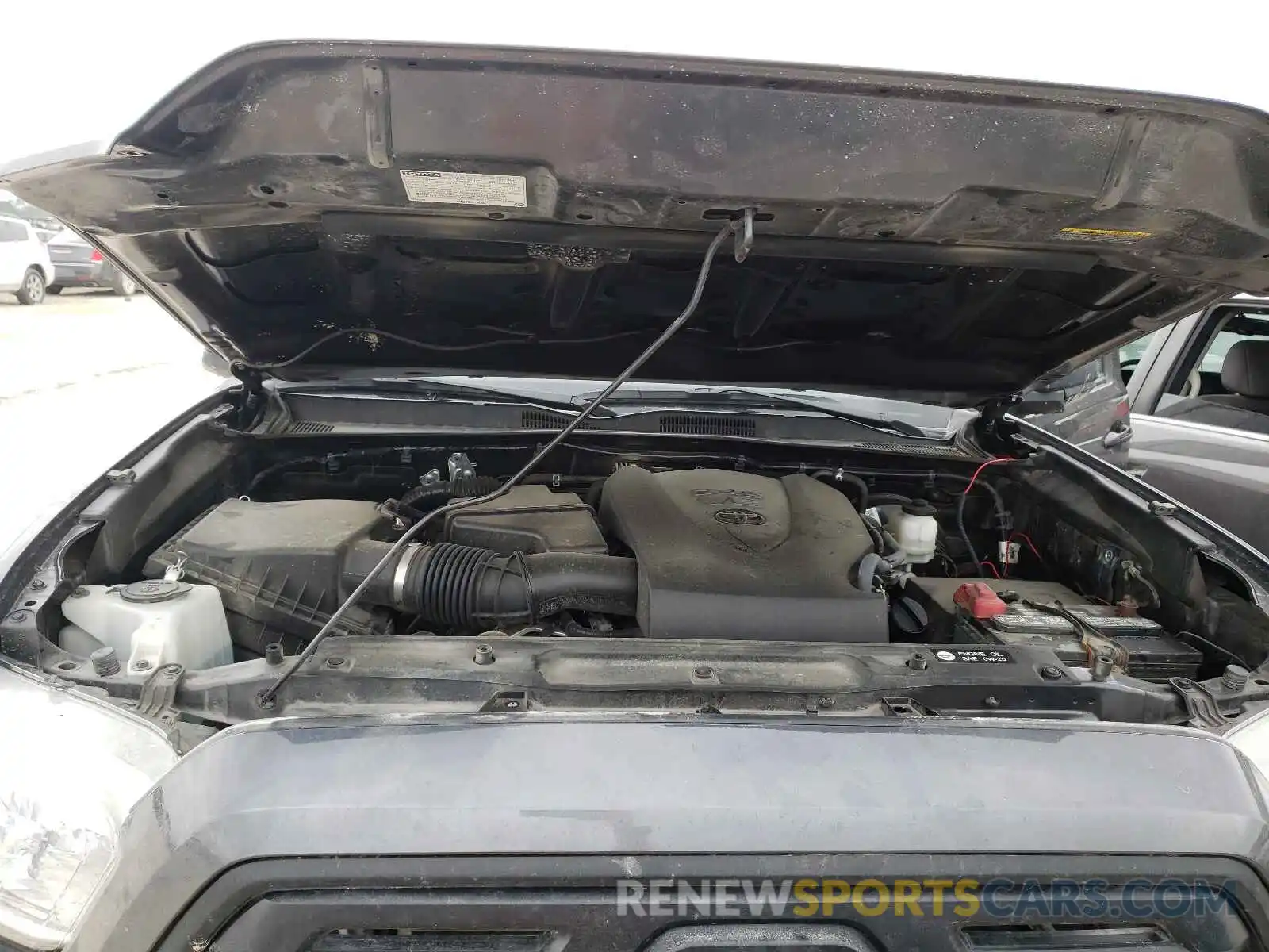 7 Photograph of a damaged car 3TMCZ5AN8KM250337 TOYOTA TACOMA 2019