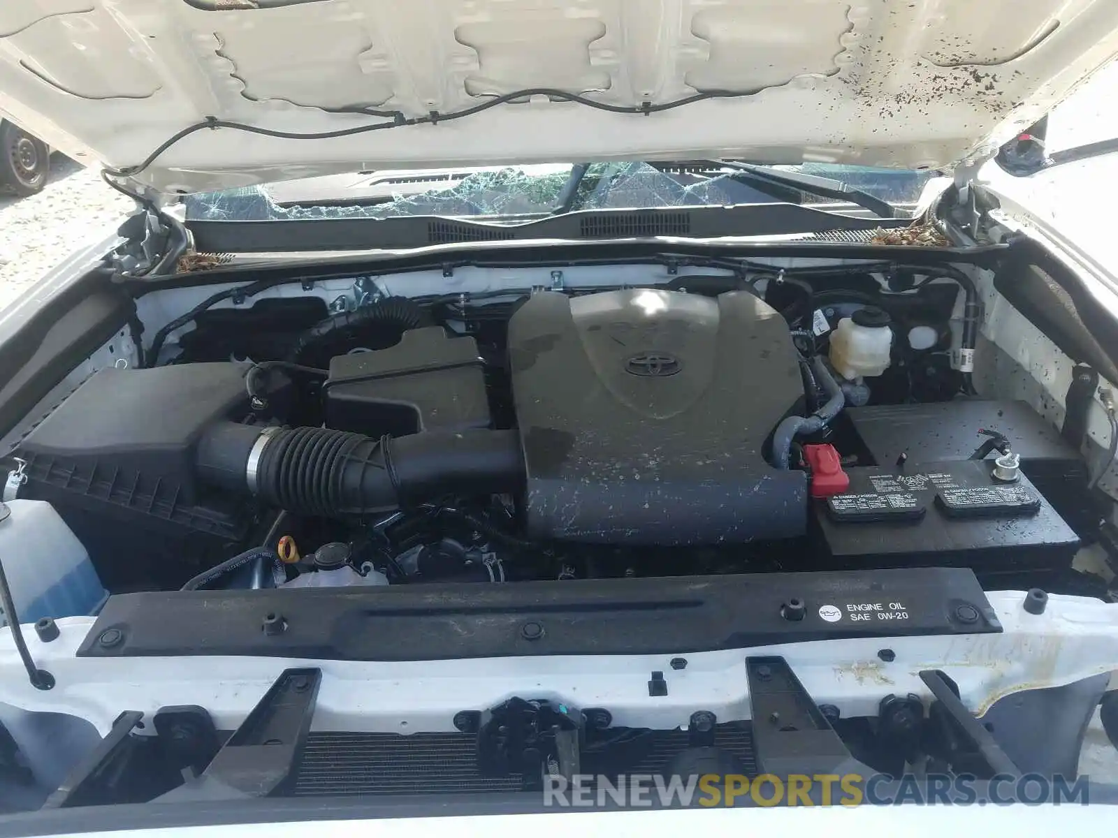 7 Photograph of a damaged car 3TMCZ5AN8KM272564 TOYOTA TACOMA 2019