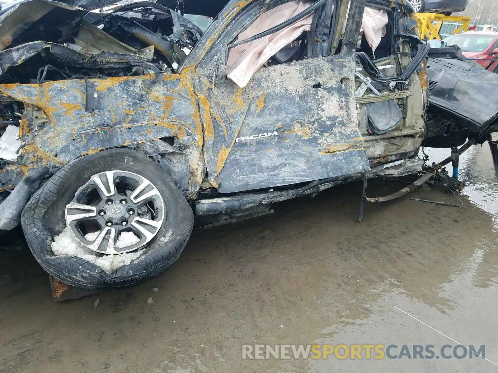 9 Photograph of a damaged car 3TMCZ5AN8KM276534 TOYOTA TACOMA 2019