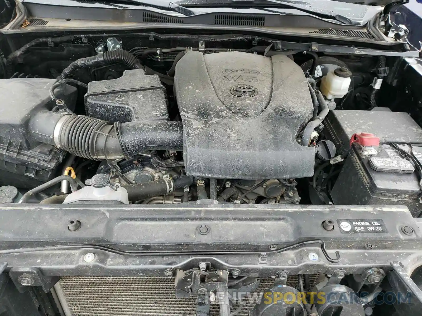 7 Photograph of a damaged car 3TMCZ5AN9KM238388 TOYOTA TACOMA 2019