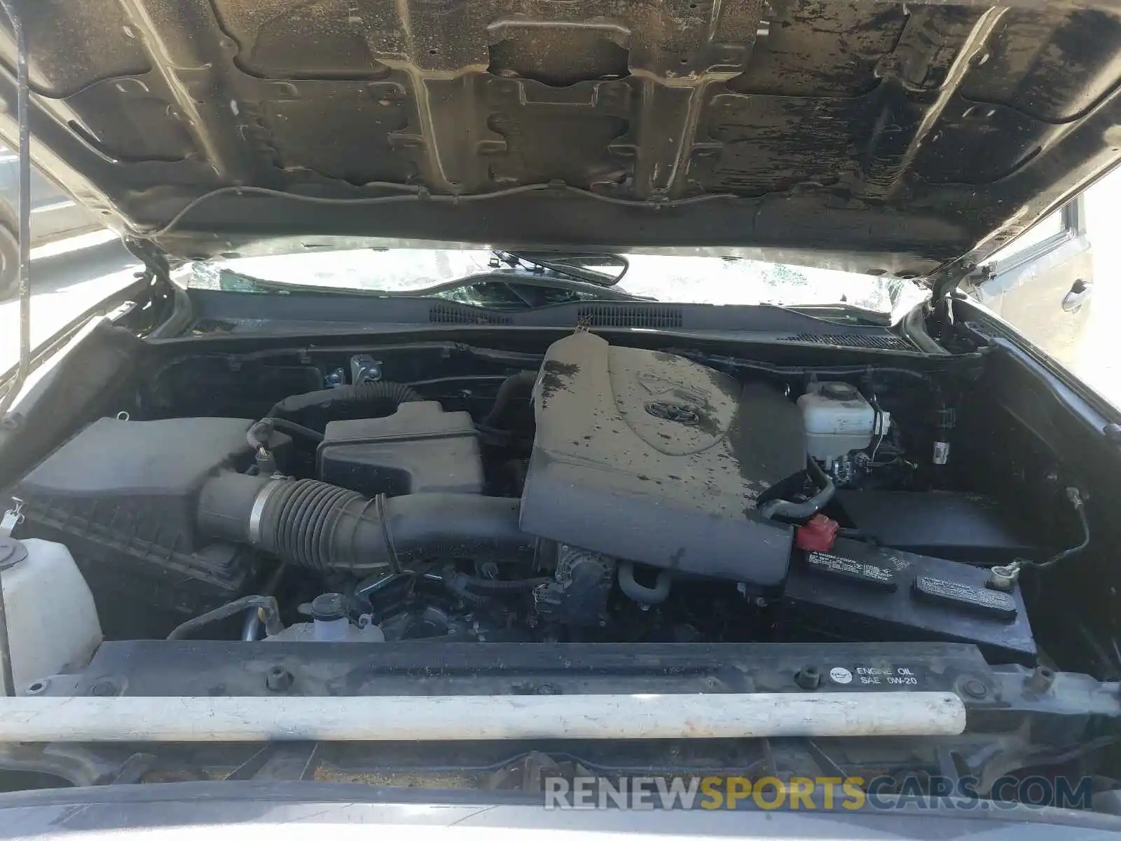 7 Photograph of a damaged car 3TMCZ5ANXKM199780 TOYOTA TACOMA 2019