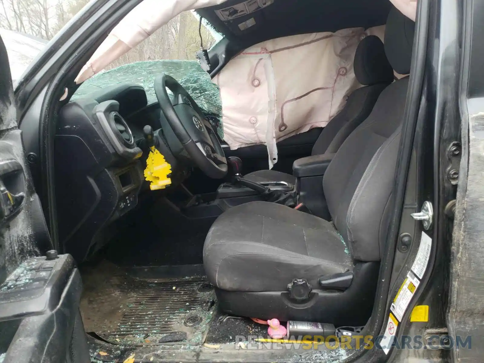 5 Photograph of a damaged car 3TMCZ5ANXKM201432 TOYOTA TACOMA 2019