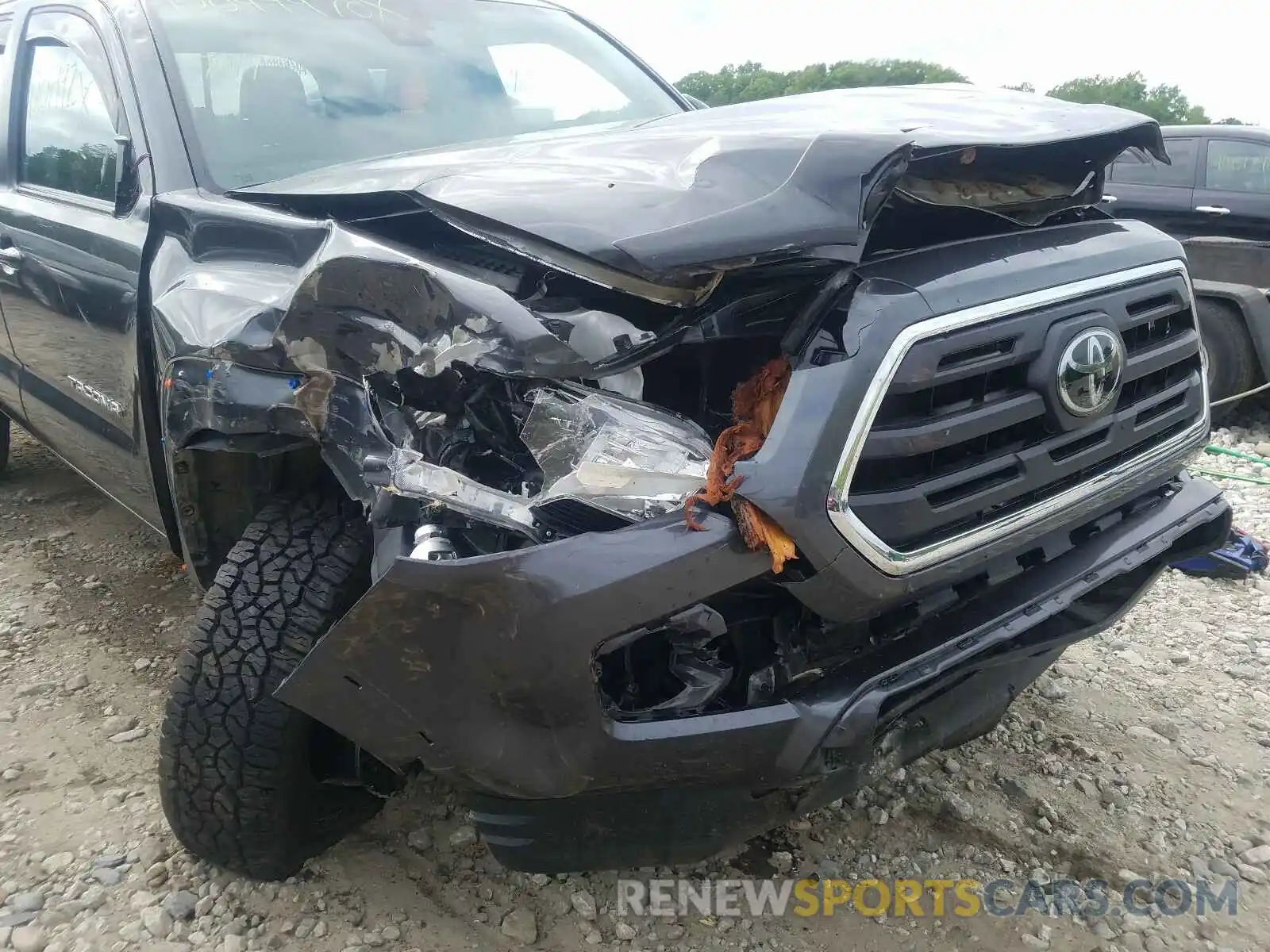 9 Photograph of a damaged car 3TMCZ5ANXKM219767 TOYOTA TACOMA 2019