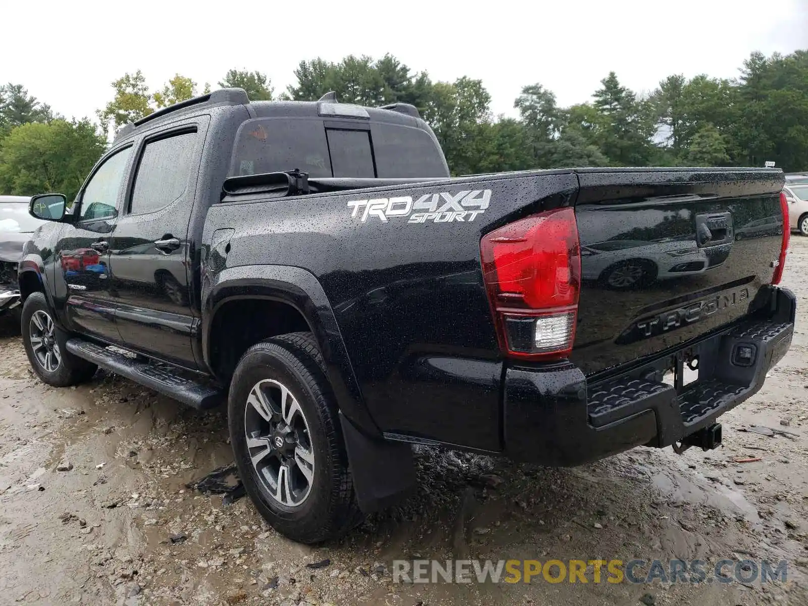 3 Photograph of a damaged car 3TMCZ5ANXKM229781 TOYOTA TACOMA 2019