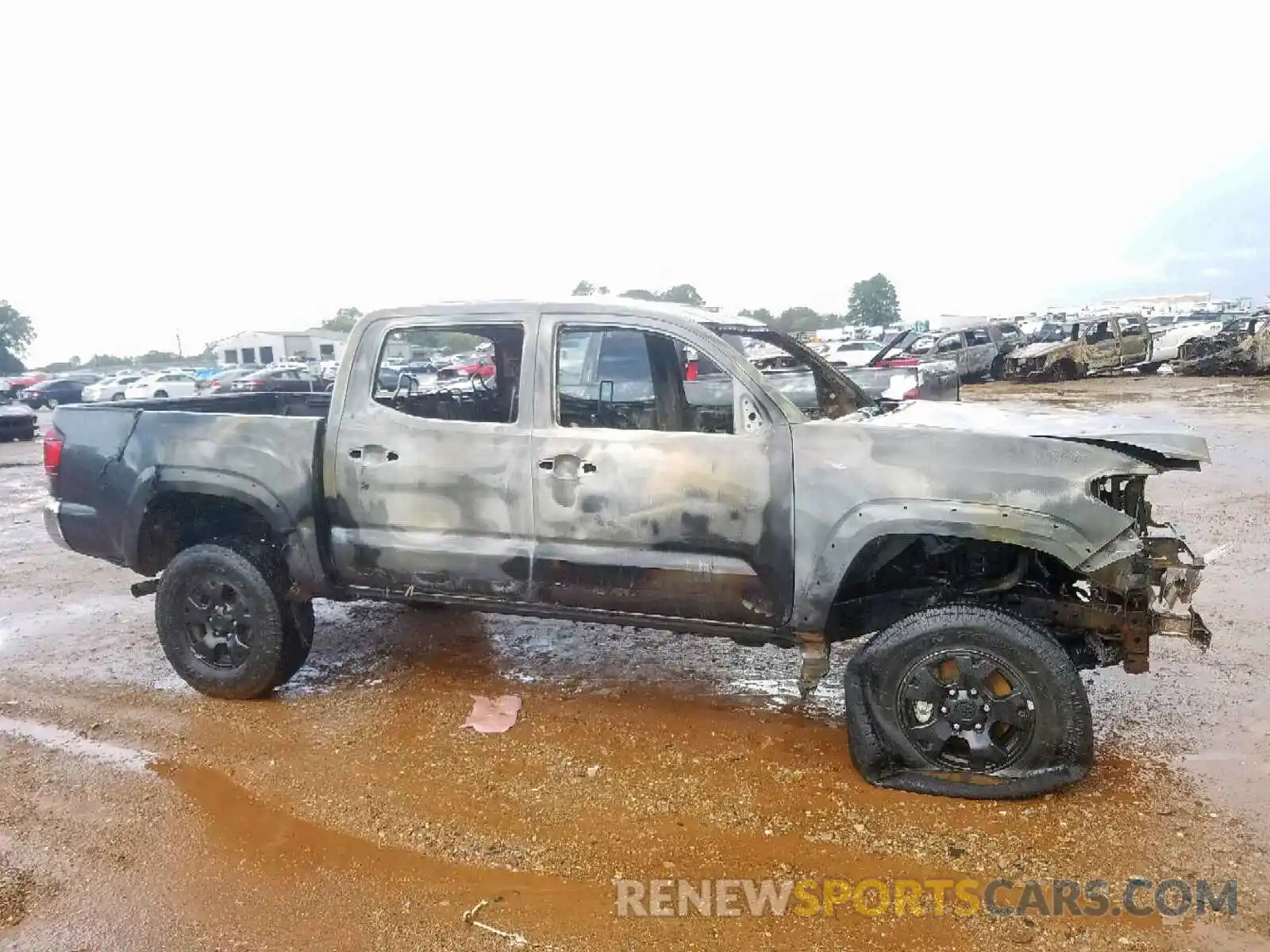 10 Photograph of a damaged car 3TMCZ5ANXKM235144 TOYOTA TACOMA 2019