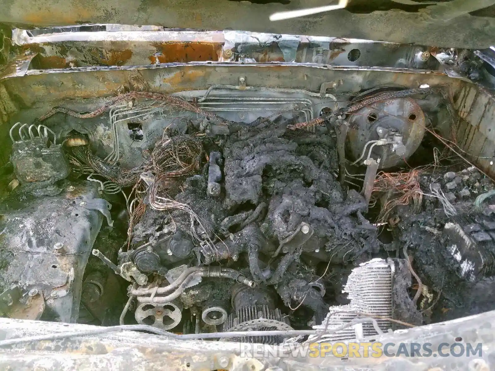 7 Photograph of a damaged car 3TMCZ5ANXKM235144 TOYOTA TACOMA 2019