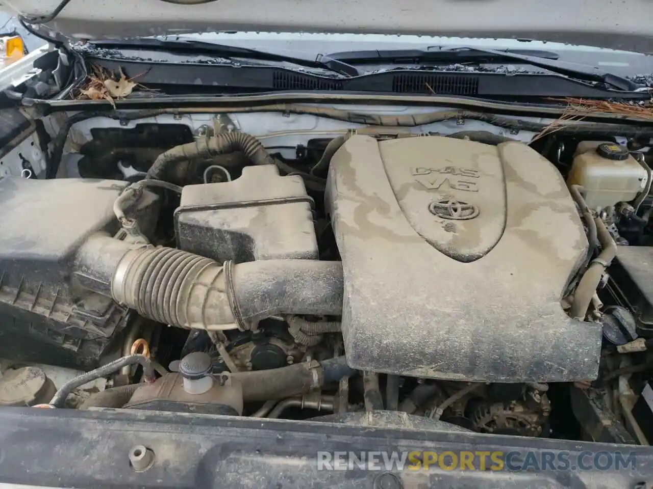 7 Photograph of a damaged car 3TMCZ5ANXKM245561 TOYOTA TACOMA 2019