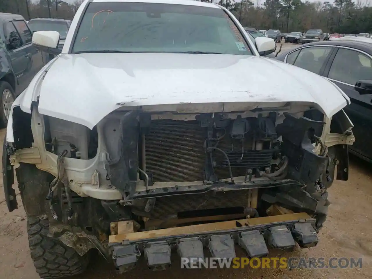 9 Photograph of a damaged car 3TMCZ5ANXKM245561 TOYOTA TACOMA 2019