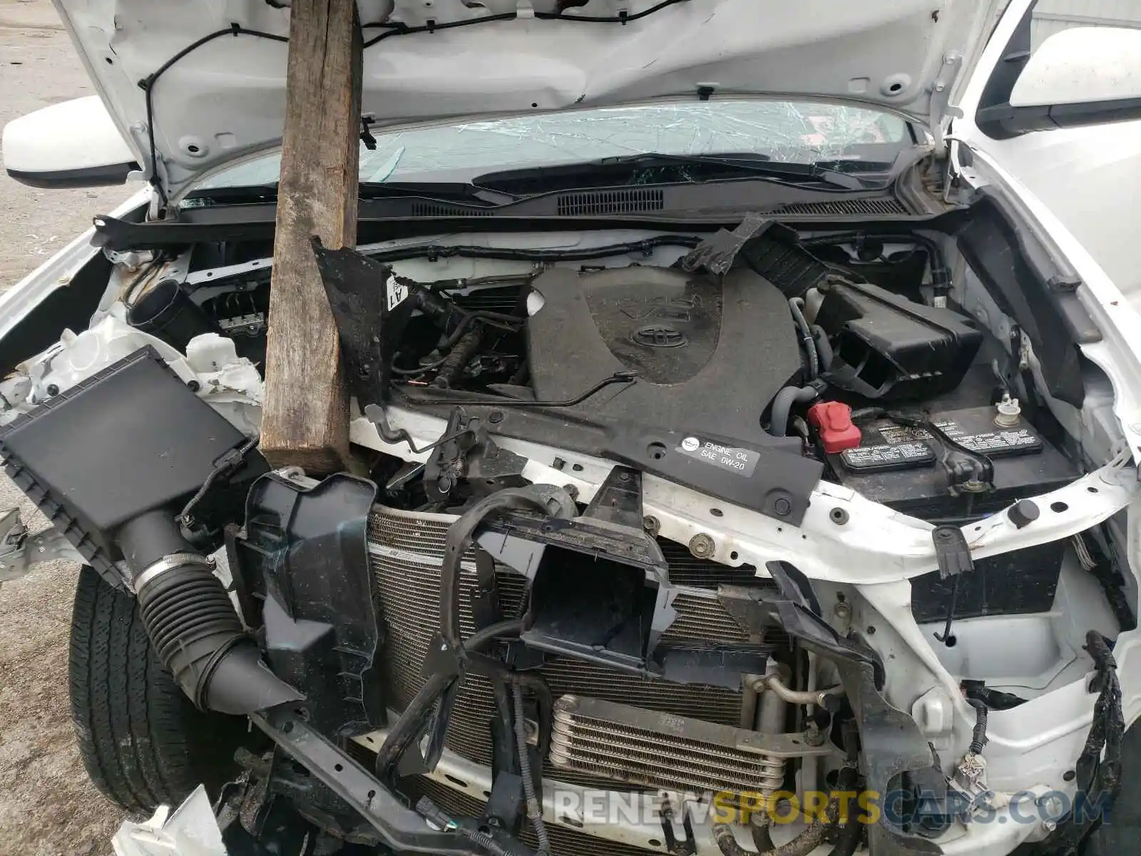 7 Photograph of a damaged car 3TMCZ5ANXKM272663 TOYOTA TACOMA 2019
