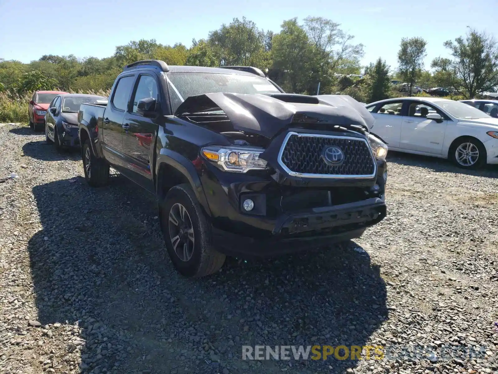 1 Photograph of a damaged car 3TMDZ5BN7KM077929 TOYOTA TACOMA 2019