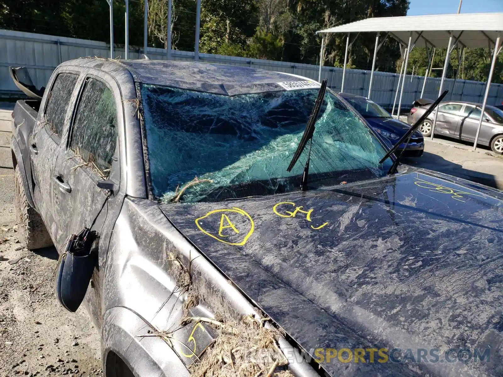 9 Photograph of a damaged car 5TFCZ5AN9KX182169 TOYOTA TACOMA 2019