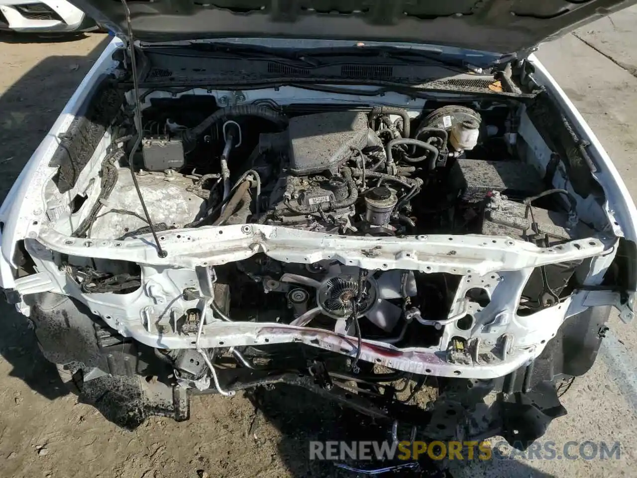 11 Photograph of a damaged car 5TFRX5GN7KX142230 TOYOTA TACOMA 2019