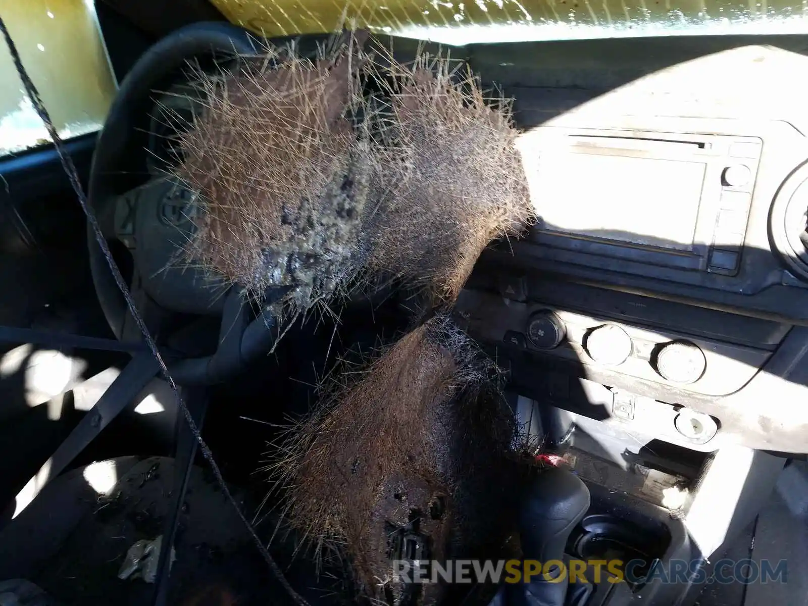 9 Photograph of a damaged car 5TFRX5GN7KX164969 TOYOTA TACOMA 2019