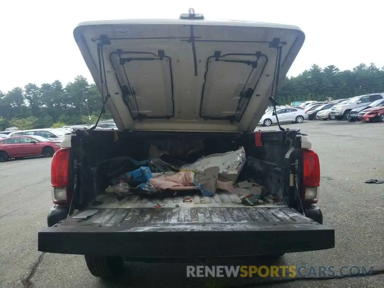 6 Photograph of a damaged car 5TFRX5GN8KX136131 TOYOTA TACOMA 2019