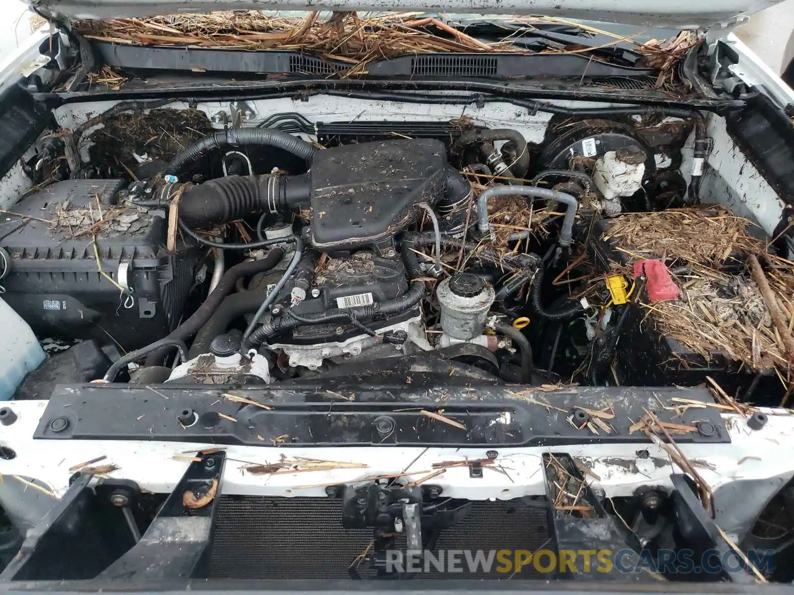 7 Photograph of a damaged car 5TFSX5ENXKX064613 TOYOTA TACOMA 2019