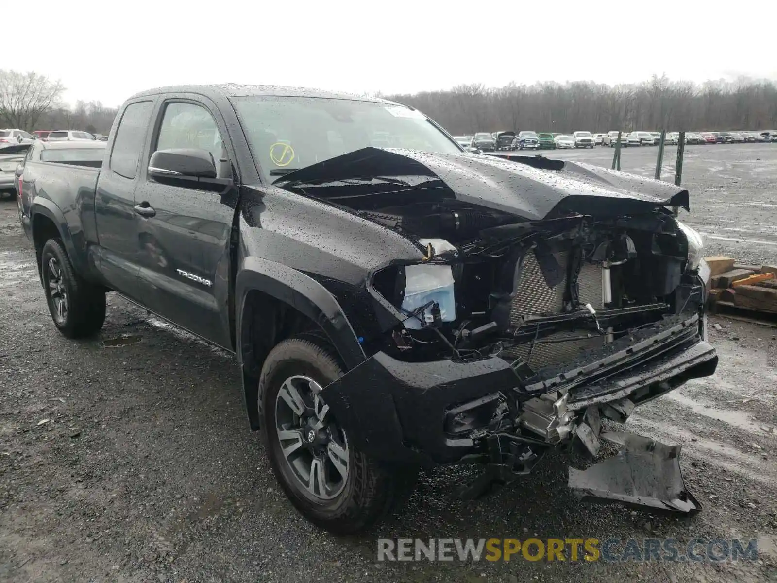 1 Photograph of a damaged car 5TFSZ5AN1KX206492 TOYOTA TACOMA 2019