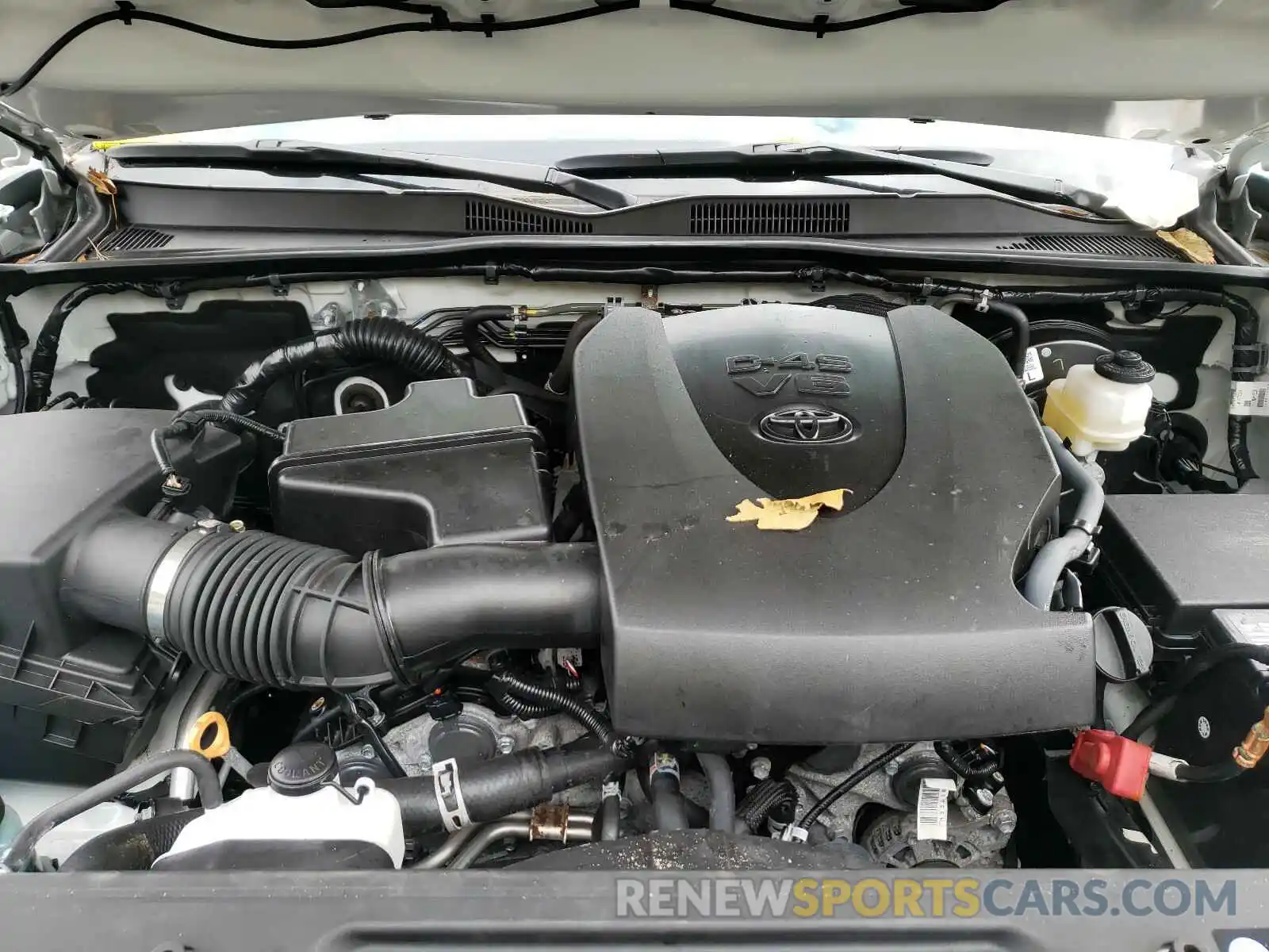 7 Photograph of a damaged car 5TFSZ5AN5KX176008 TOYOTA TACOMA 2019