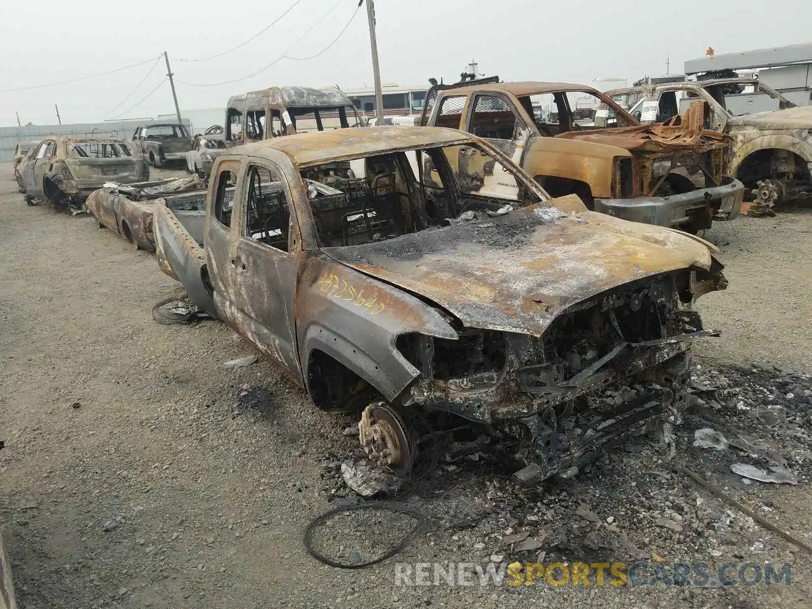 1 Photograph of a damaged car 5TFSZ5ANXKX179194 TOYOTA TACOMA 2019