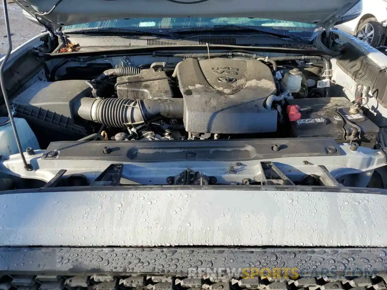 11 Photograph of a damaged car 3TMCZ5AN0LM303338 TOYOTA TACOMA 2020