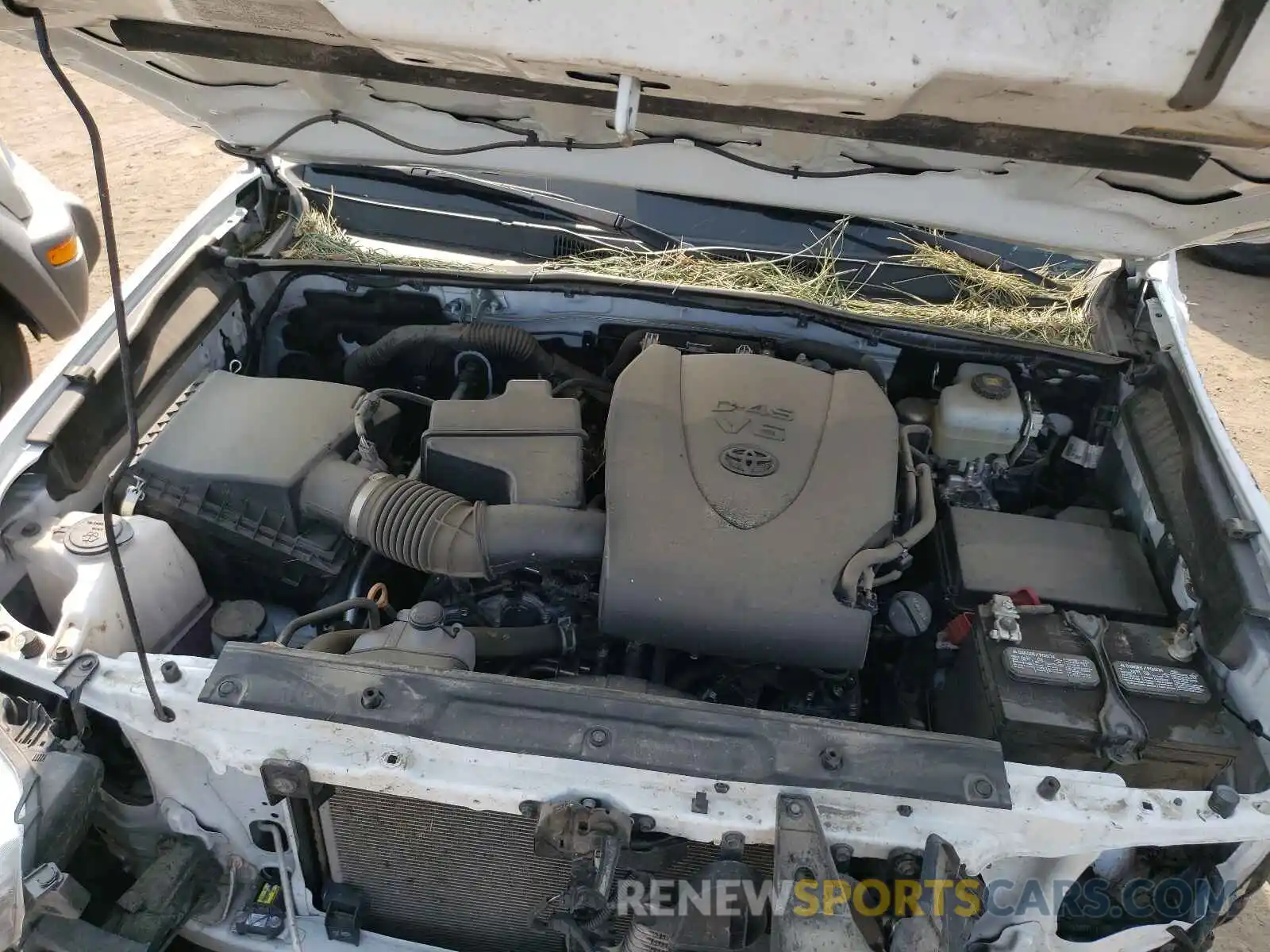 7 Photograph of a damaged car 3TMCZ5AN2LM317869 TOYOTA TACOMA 2020