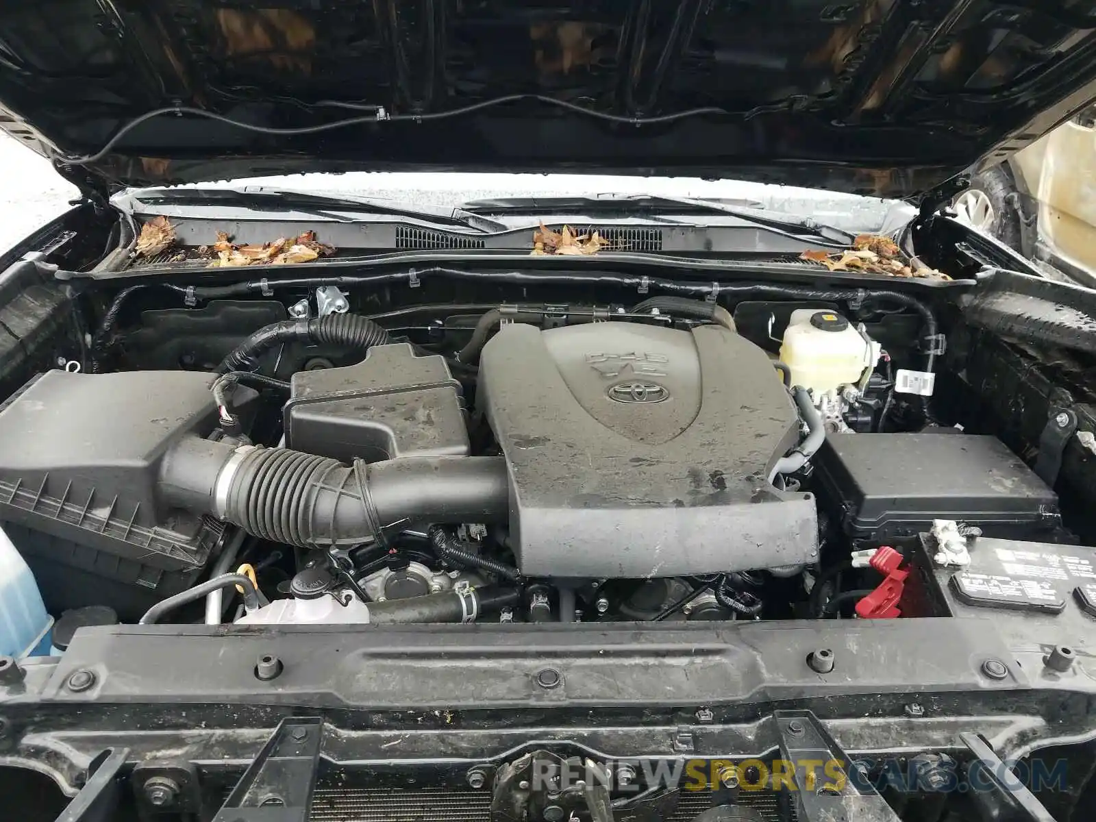 7 Photograph of a damaged car 3TMCZ5AN2LM329049 TOYOTA TACOMA 2020