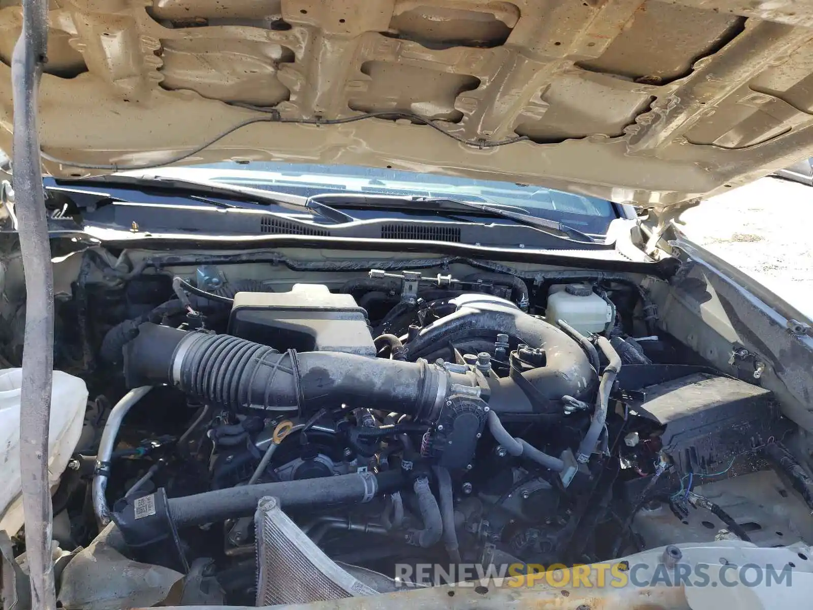 7 Photograph of a damaged car 3TMCZ5AN6LM321388 TOYOTA TACOMA 2020