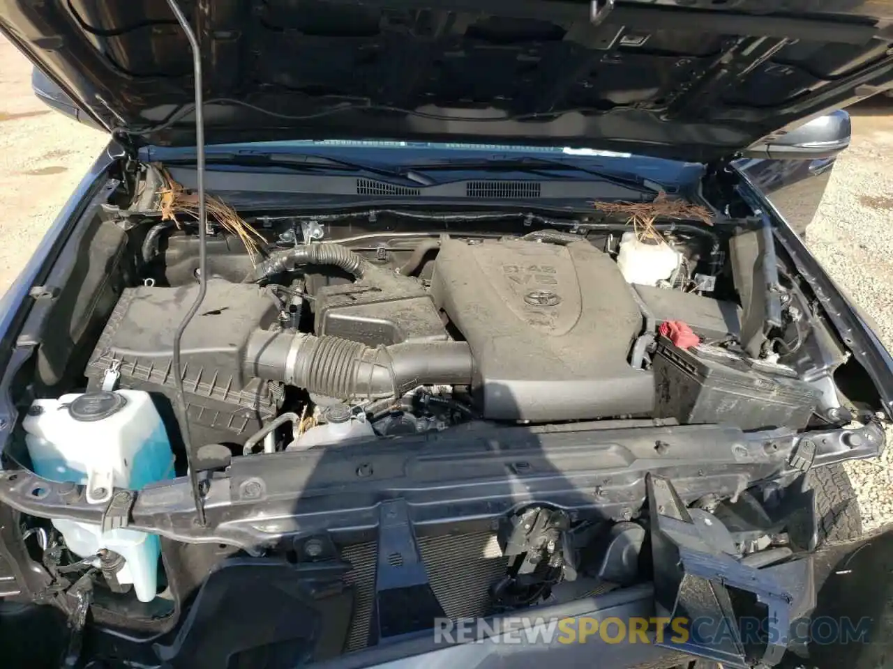 7 Photograph of a damaged car 3TMCZ5AN9LM338024 TOYOTA TACOMA 2020