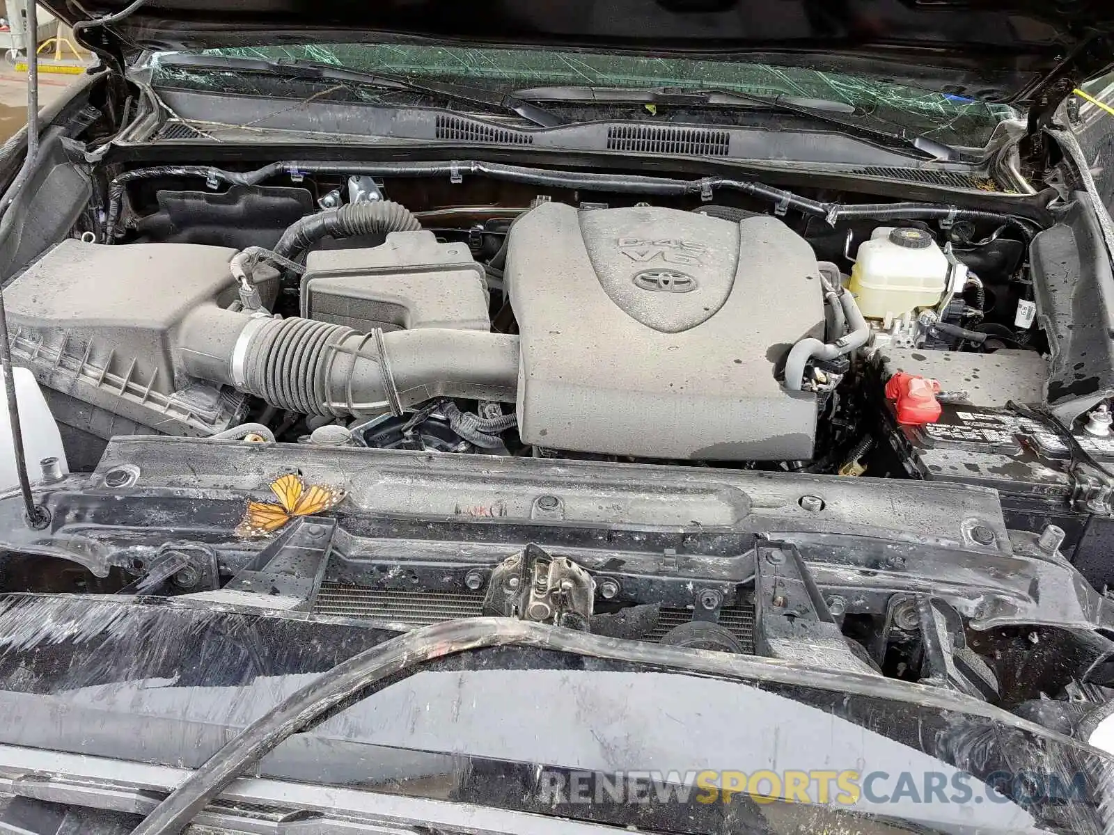 7 Photograph of a damaged car 3TMDZ5BN5LM085867 TOYOTA TACOMA 2020