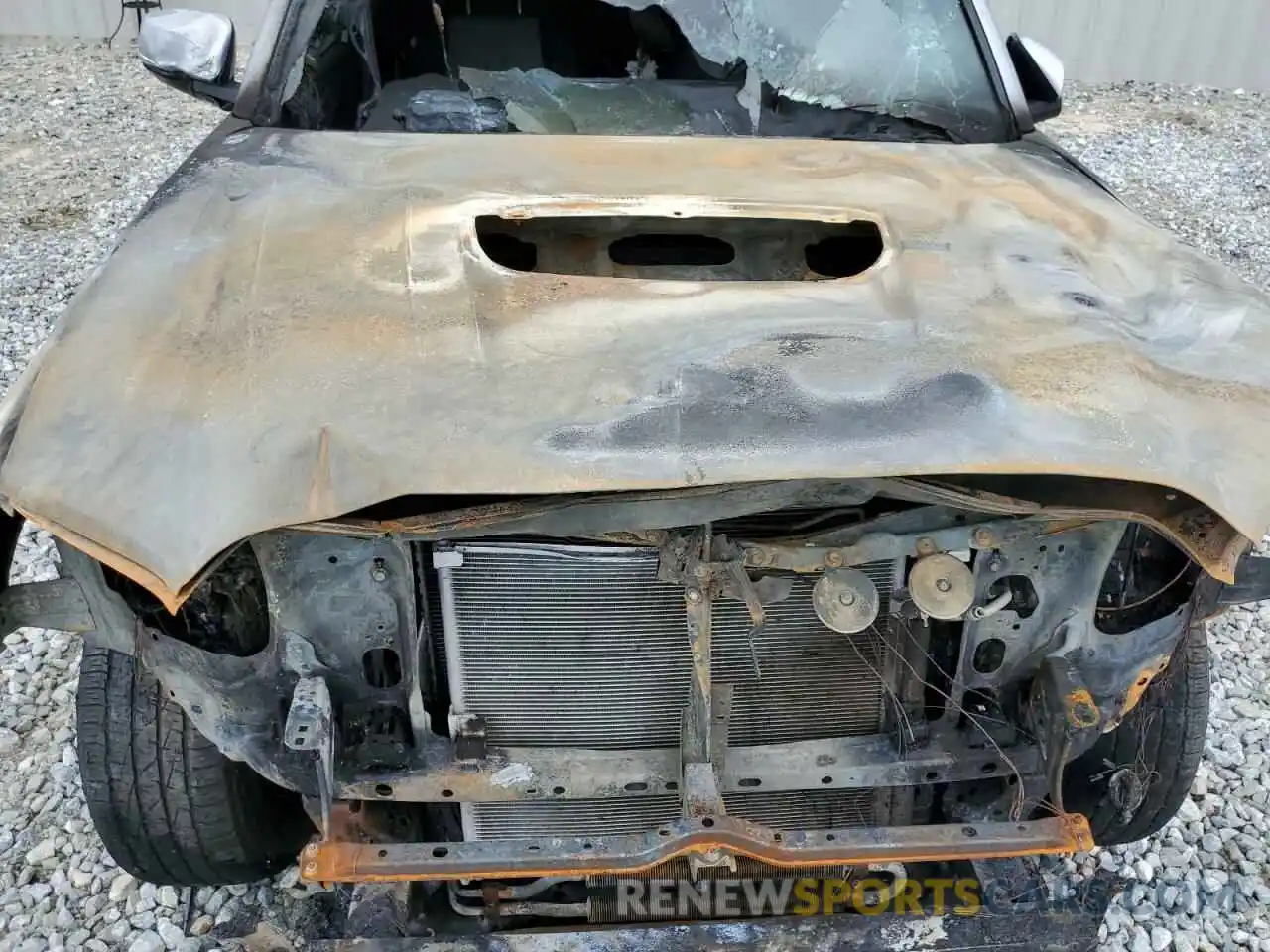 7 Photograph of a damaged car 3TMCZ5AN0MM370071 TOYOTA TACOMA 2021