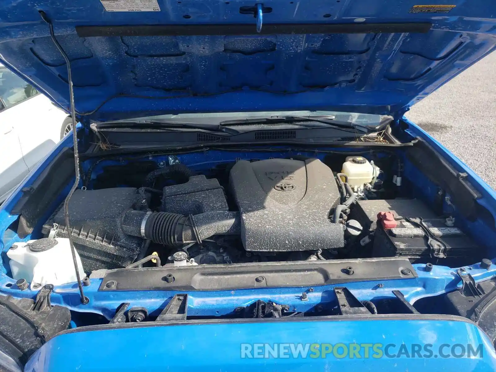 7 Photograph of a damaged car 3TMCZ5AN2MM422476 TOYOTA TACOMA 2021